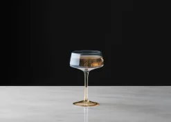 Urban Barn Abie Coupe Glass- Glassware