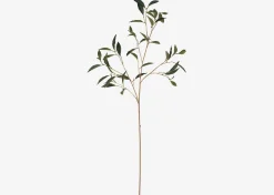 Urban Barn Abrell Vase & Elena Laurel Spray Branches- Vases & Planters