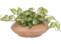 Urban Barn Adela Planter- Vases & Planters