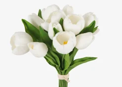 Urban Barn Agnes Tulip Bunch- Blooms & Branches