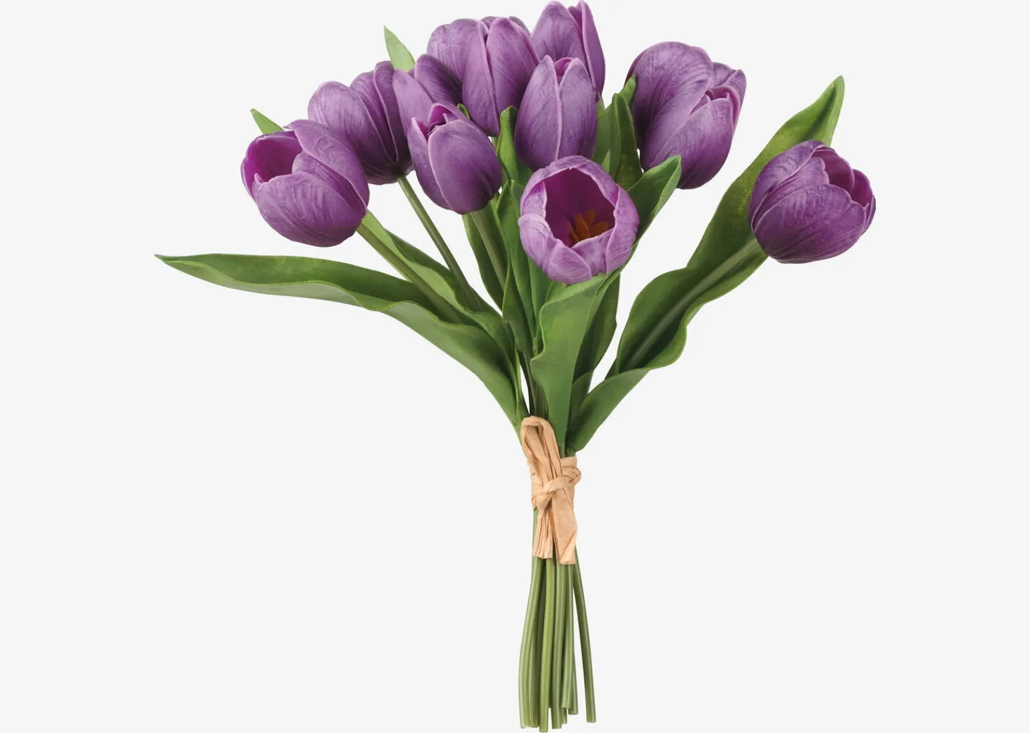 Urban Barn Agnes Tulip Bunch- Blooms & Branches