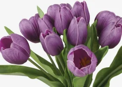 Urban Barn Agnes Tulip Bunch- Blooms & Branches