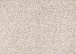 Urban Barn Alonzo Rugs- Area Rugs