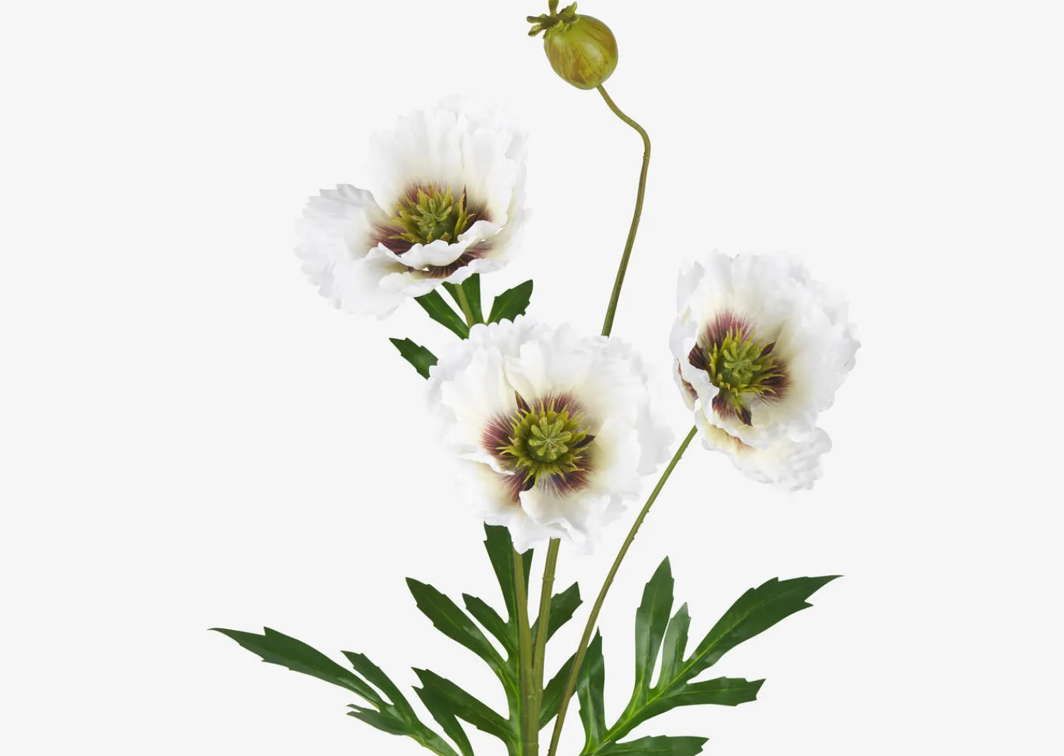 Urban Barn Amity Poppy Stem- Blooms & Branches