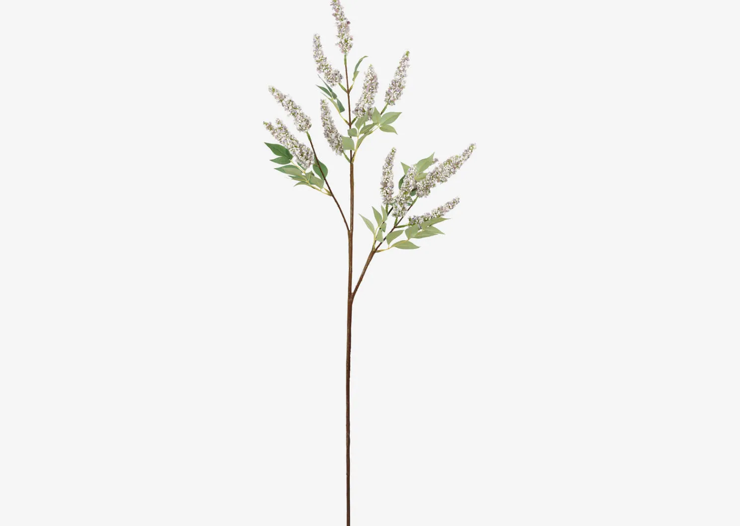 Urban Barn Angie Lilac Stem- Blooms & Branches