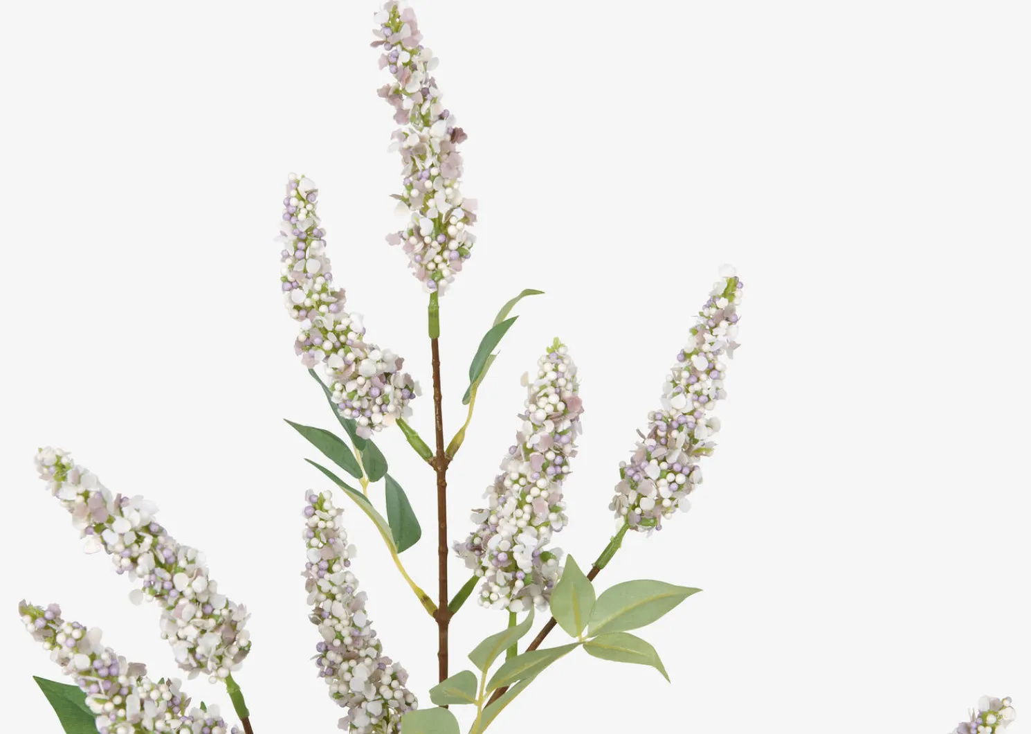 Urban Barn Angie Lilac Stem- Blooms & Branches
