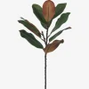 Urban Barn Aster Magnolia Branch Green/Brown- Blooms & Branches