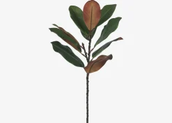 Urban Barn Aster Magnolia Branch Green/Brown- Blooms & Branches