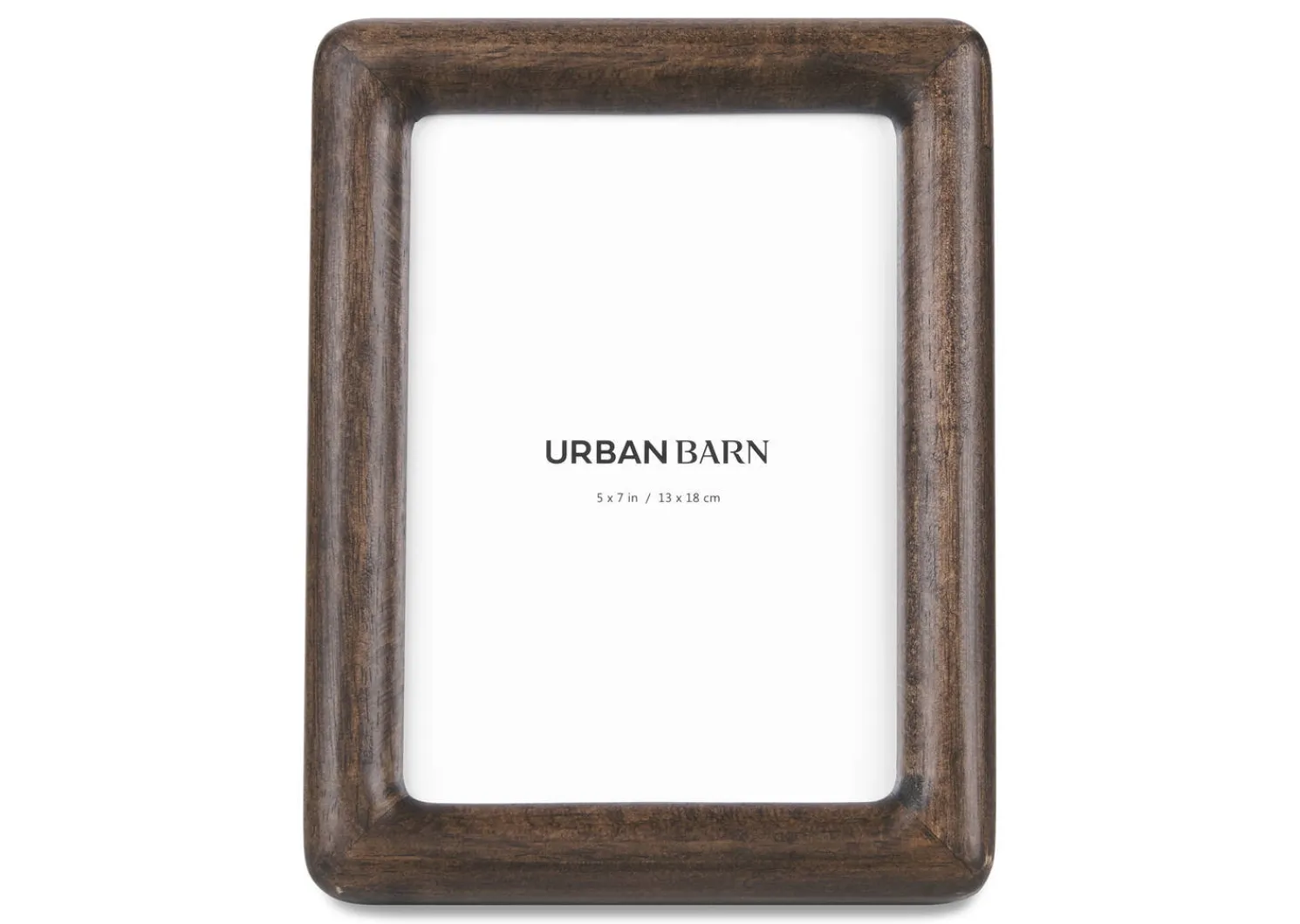 Urban Barn Axel Frame- Frames