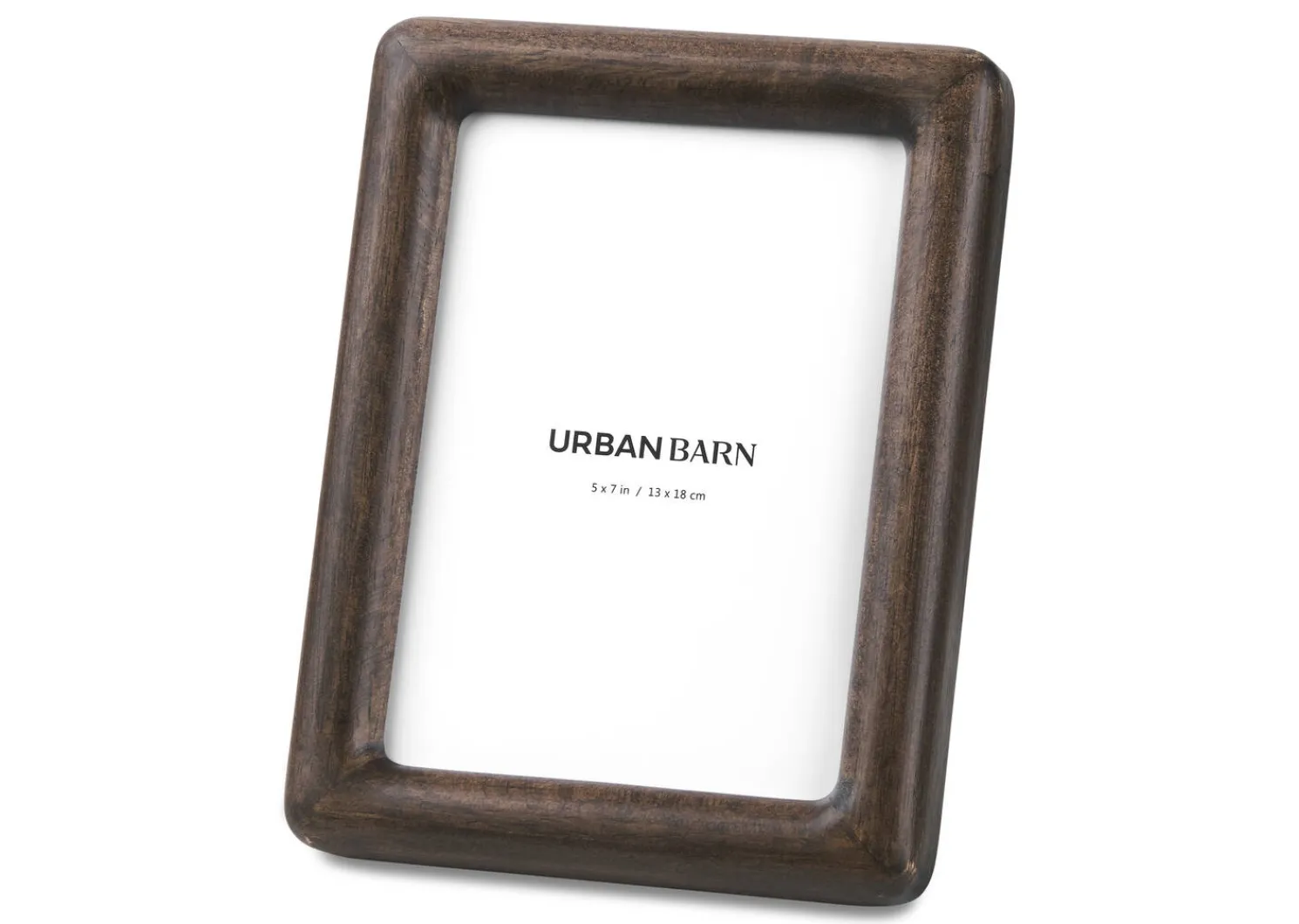 Urban Barn Axel Frame- Frames