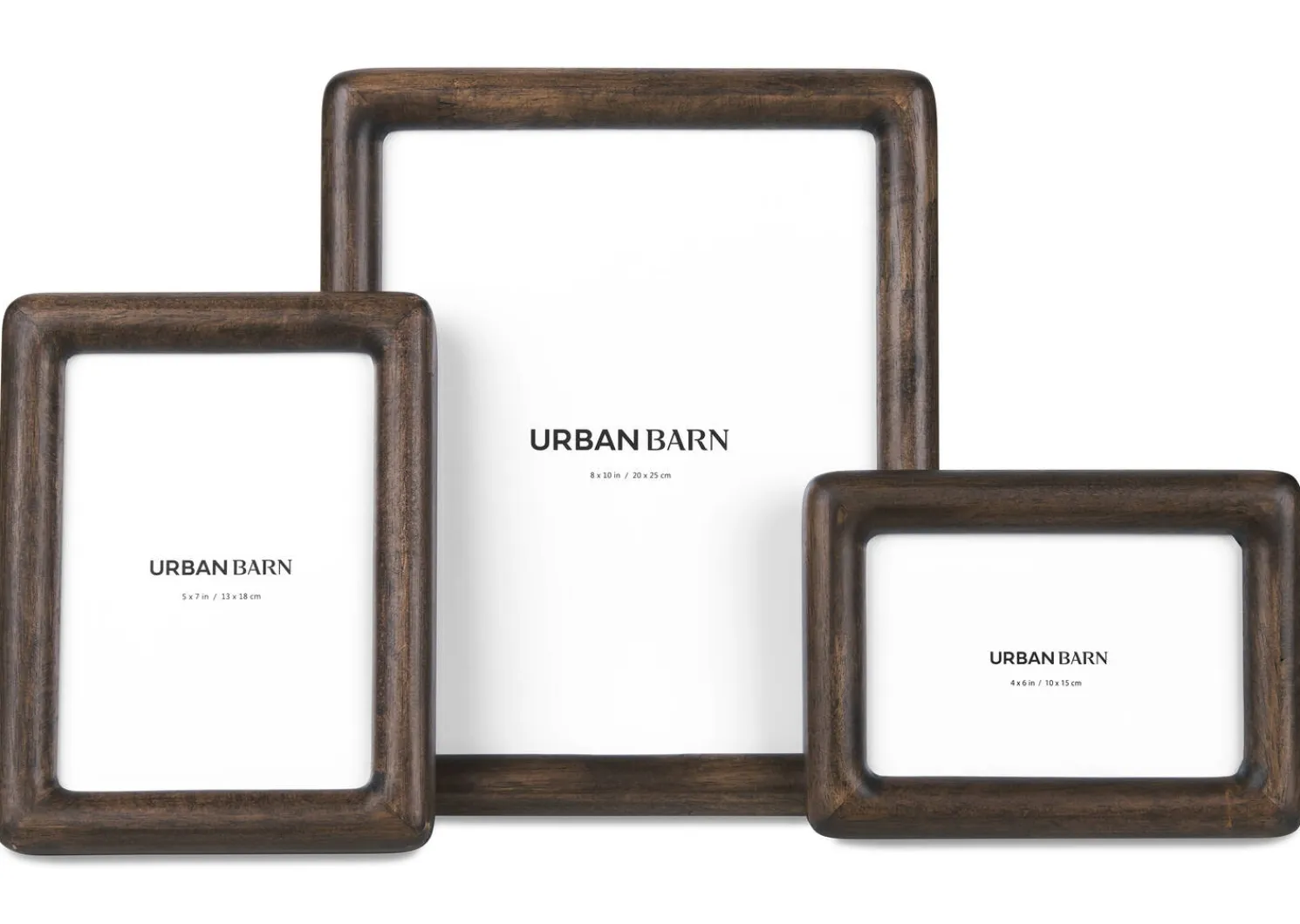 Urban Barn Axel Frame- Frames