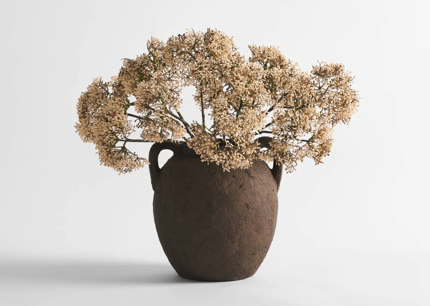 Urban Barn Beare Elderberry Stem- Blooms & Branches