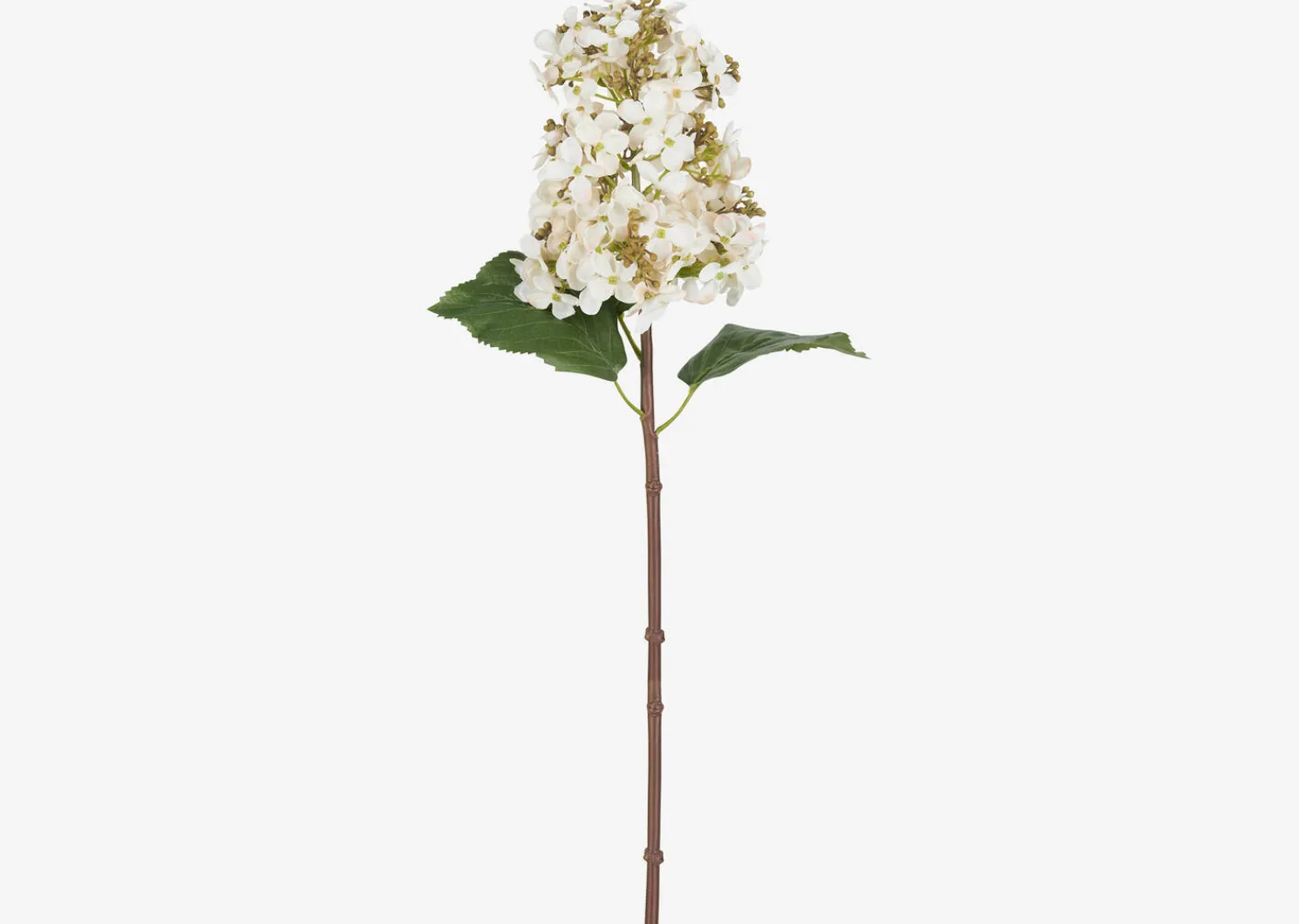 Urban Barn Beth Cone Hydrangea Stem White- Blooms & Branches