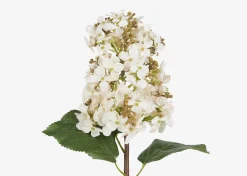 Urban Barn Beth Cone Hydrangea Stem White- Blooms & Branches