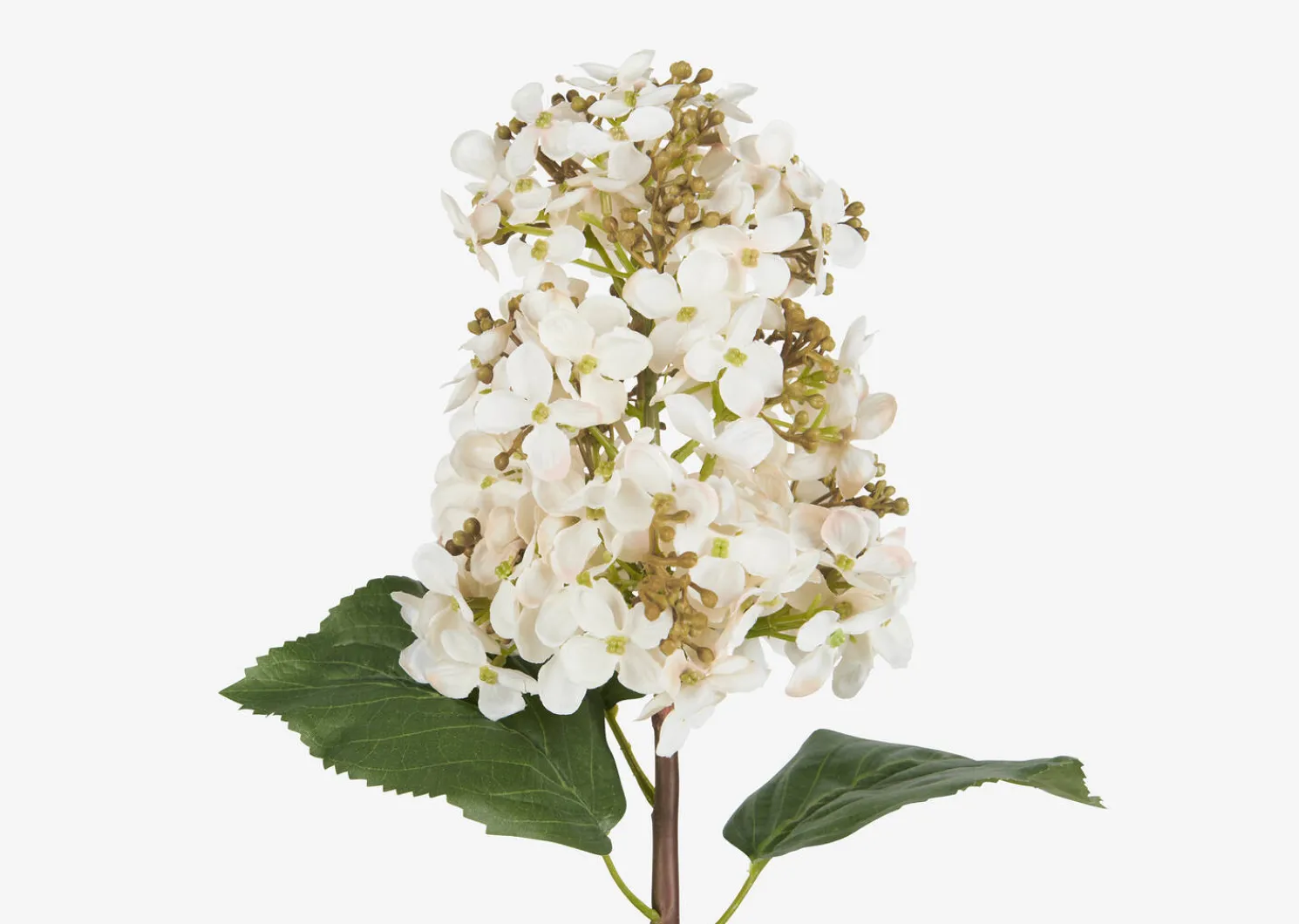 Urban Barn Beth Cone Hydrangea Stem White- Blooms & Branches