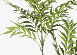 Urban Barn Bryce Bamboo Palm Branch- Blooms & Branches