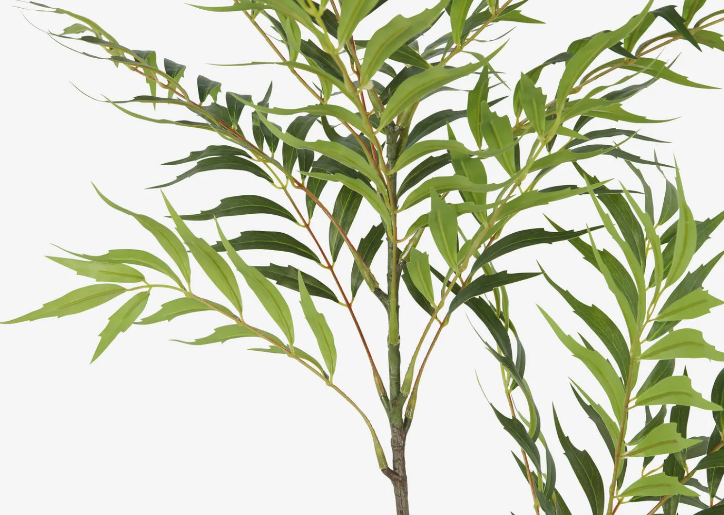 Urban Barn Bryce Bamboo Palm Branch- Blooms & Branches