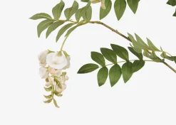 Urban Barn Byer Wisteria Branch- Blooms & Branches