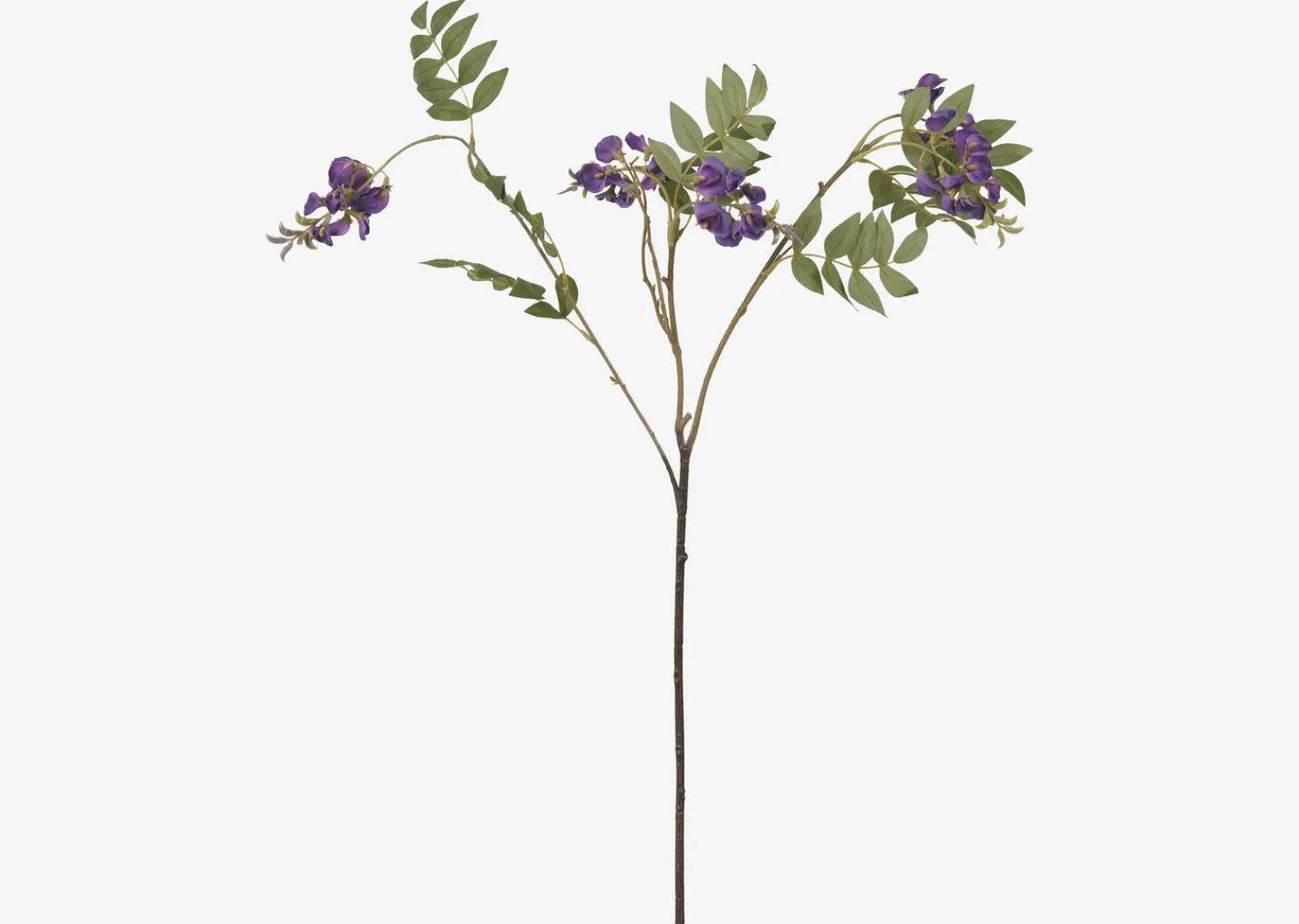 Urban Barn Byer Wisteria Branch- Blooms & Branches