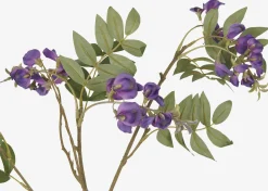Urban Barn Byer Wisteria Branch- Blooms & Branches