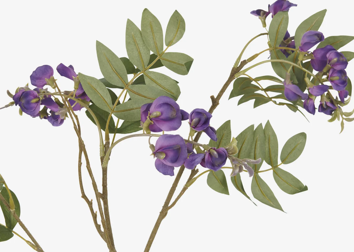 Urban Barn Byer Wisteria Branch- Blooms & Branches