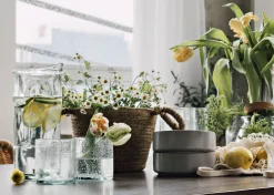 Urban Barn Camari Glass Organic- Glassware