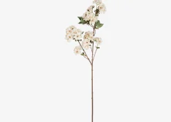 Urban Barn Canyon Vase & Kya Cherry Blossom Branches- Vases & Planters