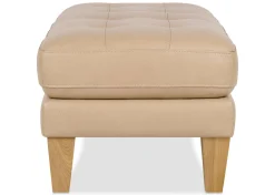 Urban Barn Carson Leather Ottoman- Ottomans & Benches