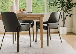 Urban Barn Claude Ficus Tree Potted- Blooms & Branches