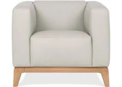 Urban Barn Cowan Leather Armchair- Accent Chairs