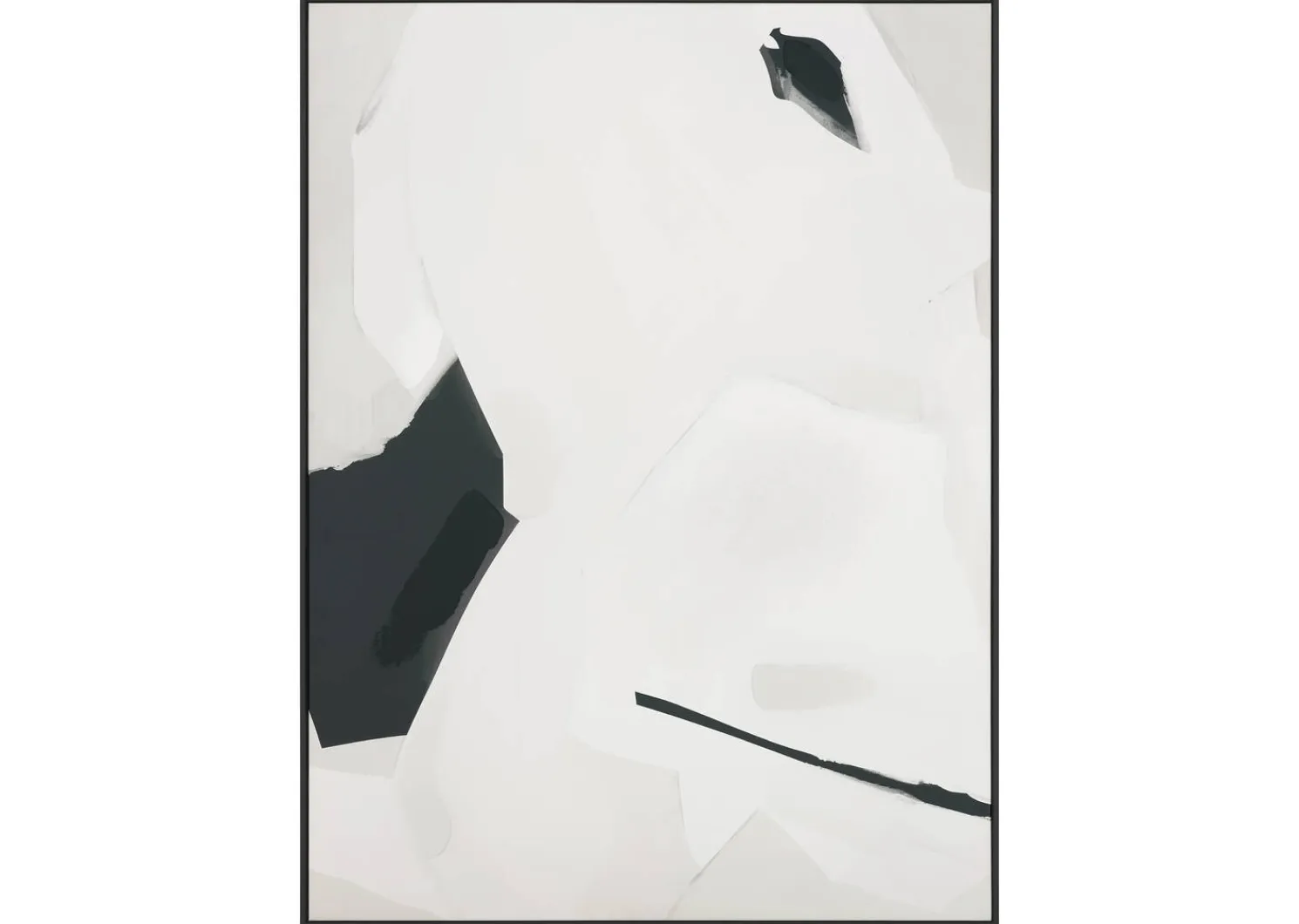 Urban Barn Curiosities Wall Art- Wall Art