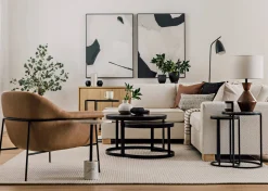 Urban Barn Curiosities Wall Art- Wall Art