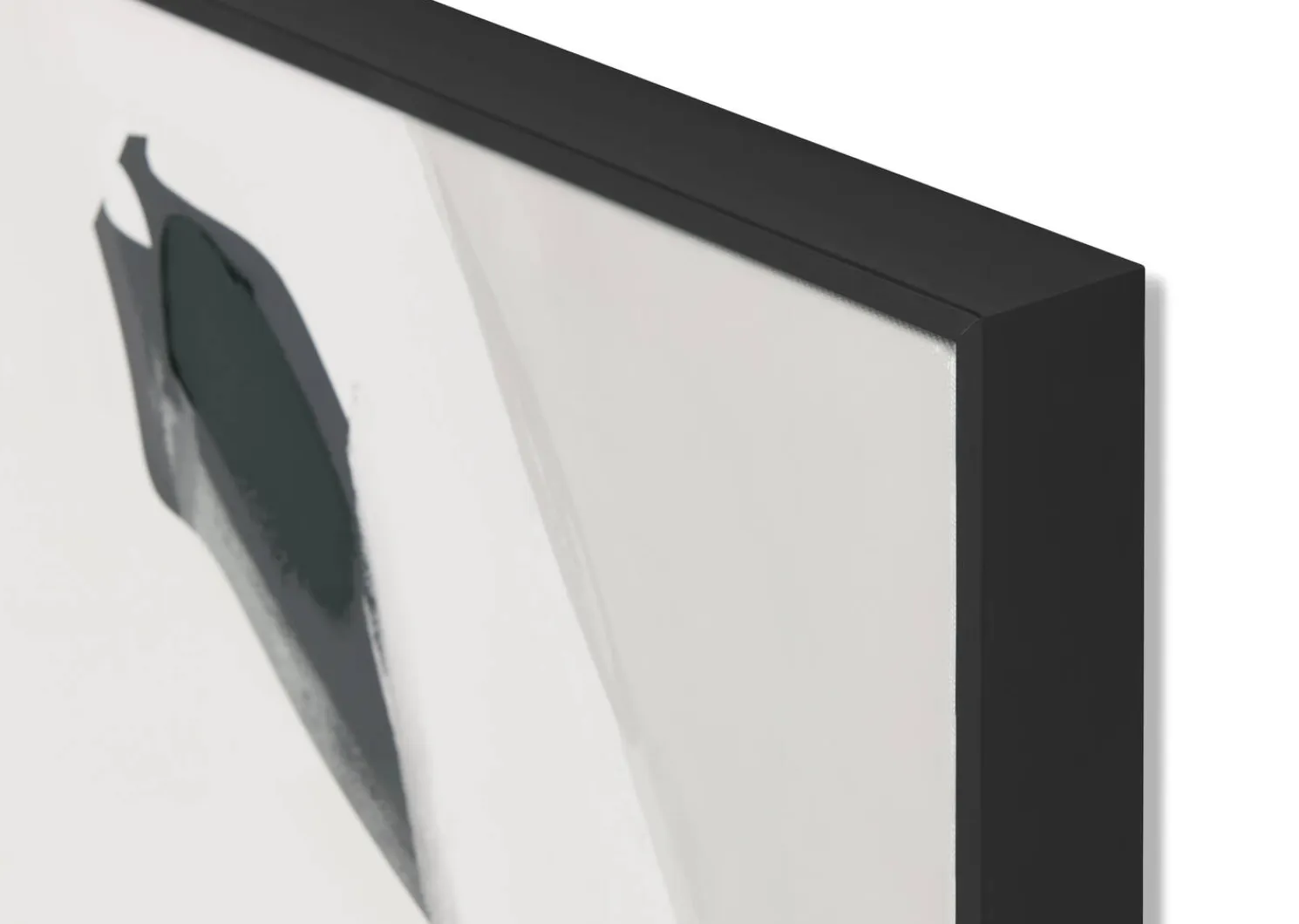 Urban Barn Curiosities Wall Art- Wall Art