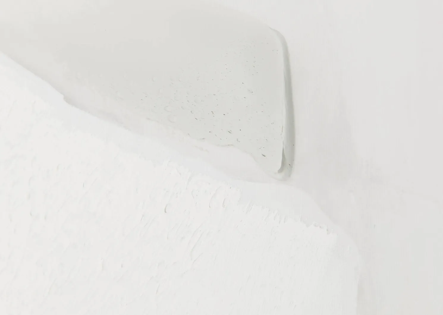 Urban Barn Curiosities Wall Art- Wall Art