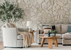 Urban Barn Cyprus Olive Tree Potted 7ft- Blooms & Branches