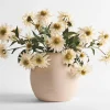 Urban Barn Daleyza Vase & Cate Echinacea Stems- Vases & Planters