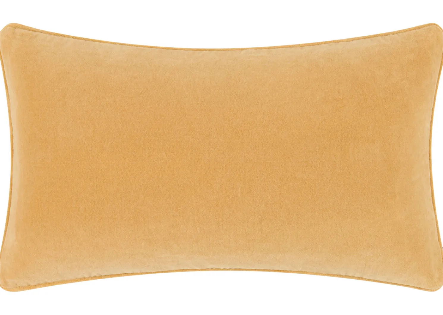 Urban Barn Daria Velvet Pillow- Pillows
