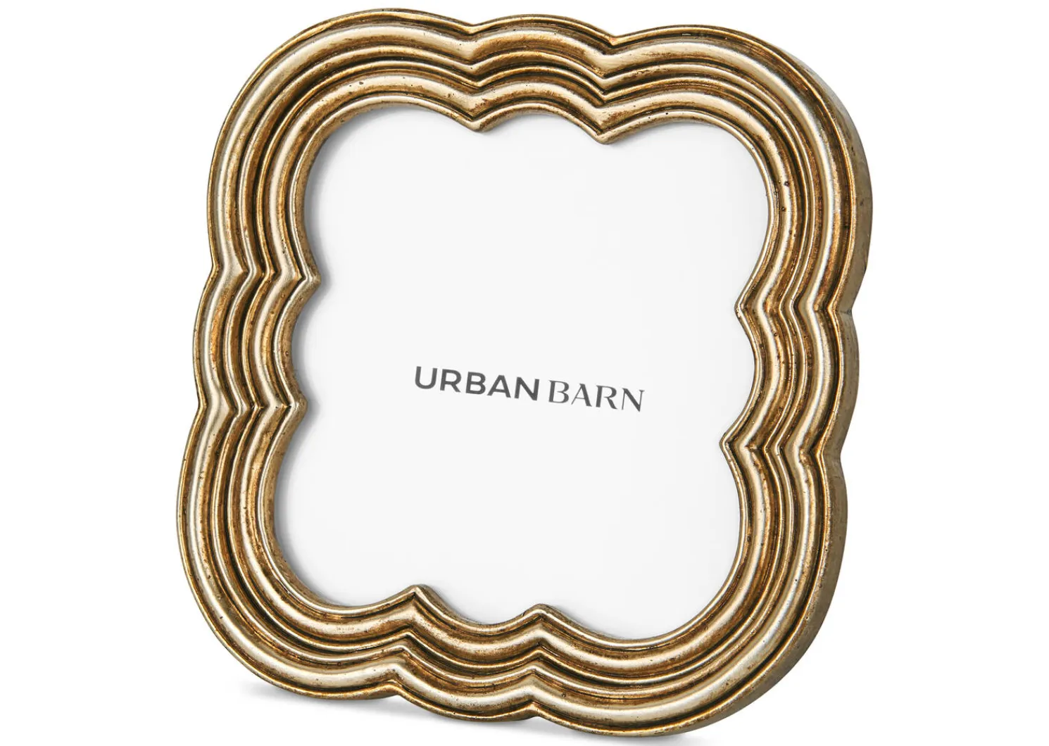 Urban Barn Deena Frame- Frames