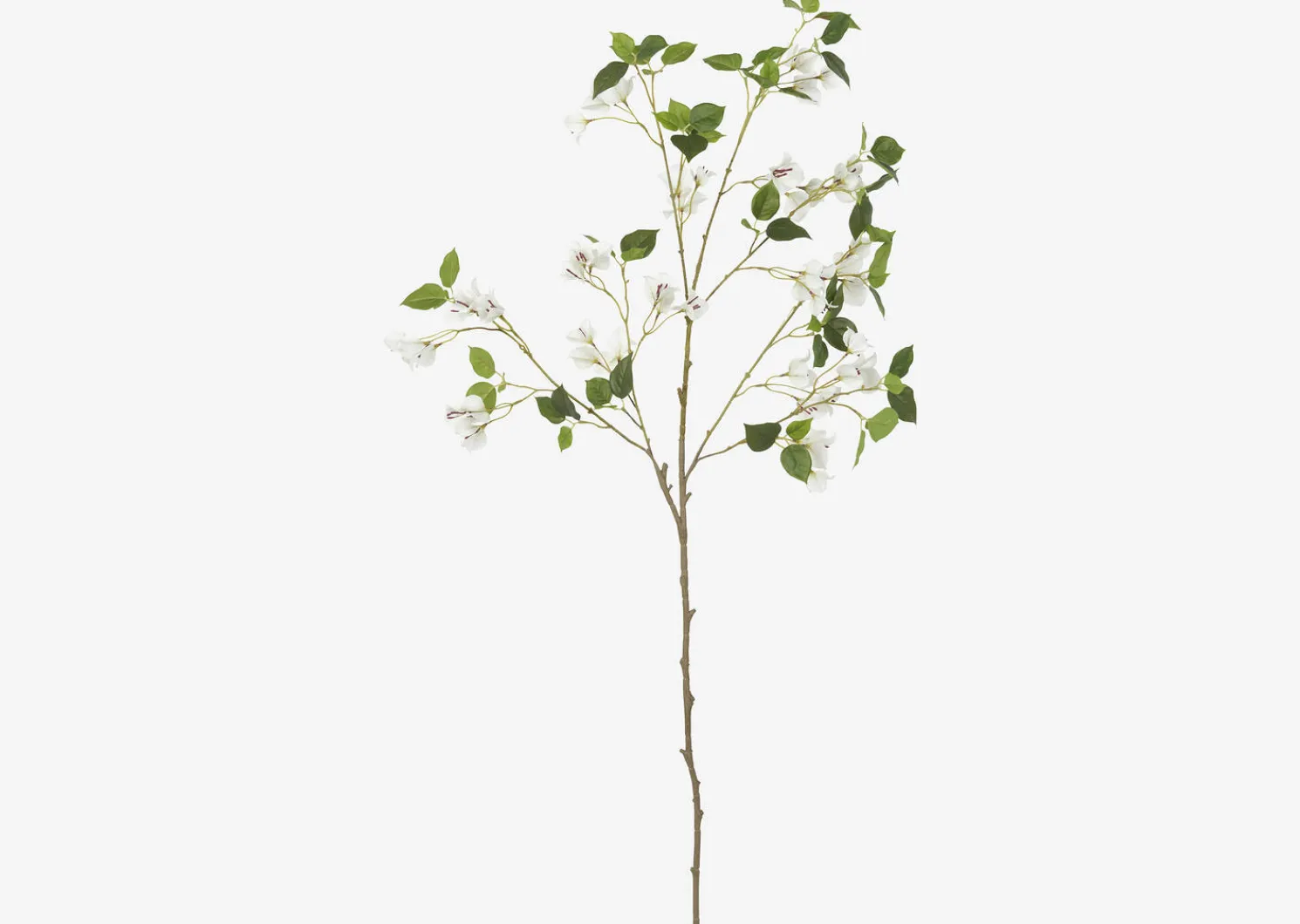 Urban Barn Desi Bougainvillea Branch- Blooms & Branches