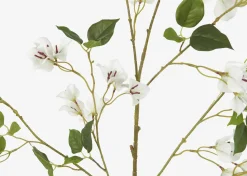 Urban Barn Desi Bougainvillea Branch- Blooms & Branches