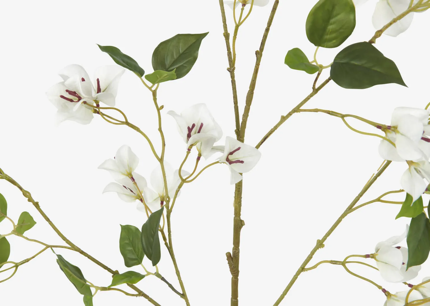 Urban Barn Desi Bougainvillea Branch- Blooms & Branches