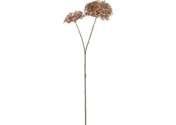Urban Barn Dunne Allium Branch- Blooms & Branches