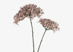 Urban Barn Dunne Allium Branch- Blooms & Branches