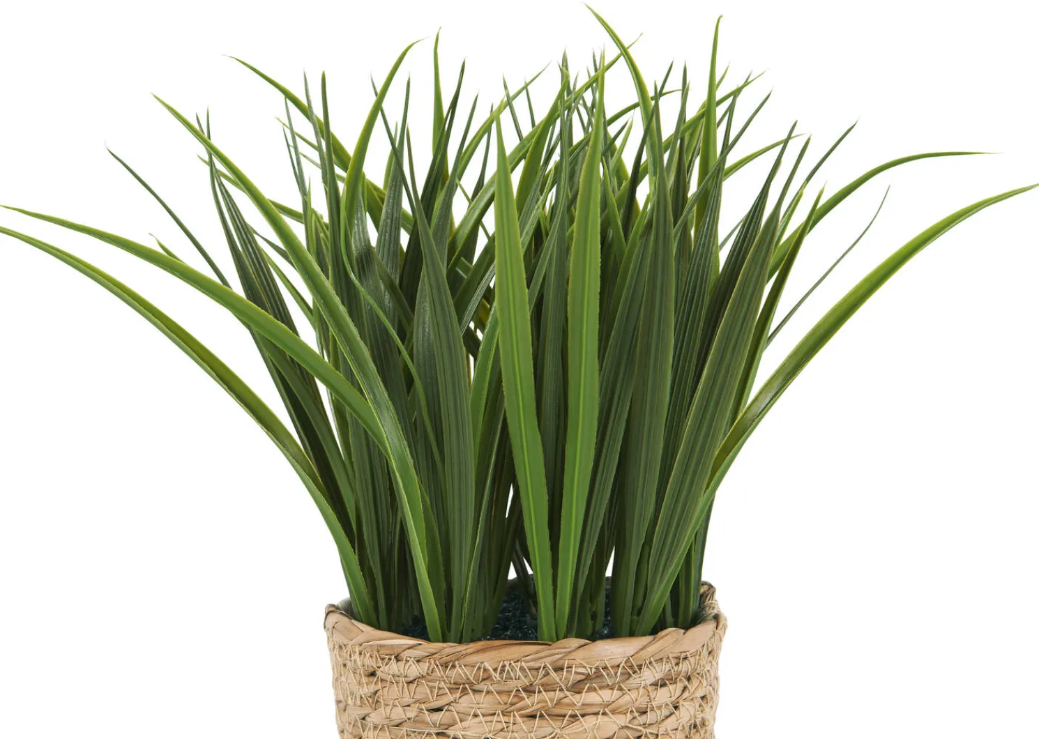 Urban Barn Edyn Grass Potted- Blooms & Branches