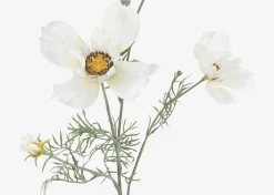 Urban Barn Elana Anemone Stem- Blooms & Branches