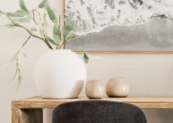 Urban Barn Eucalyptus Caesia Branch- Blooms & Branches