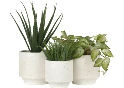 Urban Barn Fleur Planter- Vases & Planters