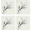 Urban Barn Floral Coaster Set- Table Linens & Coasters