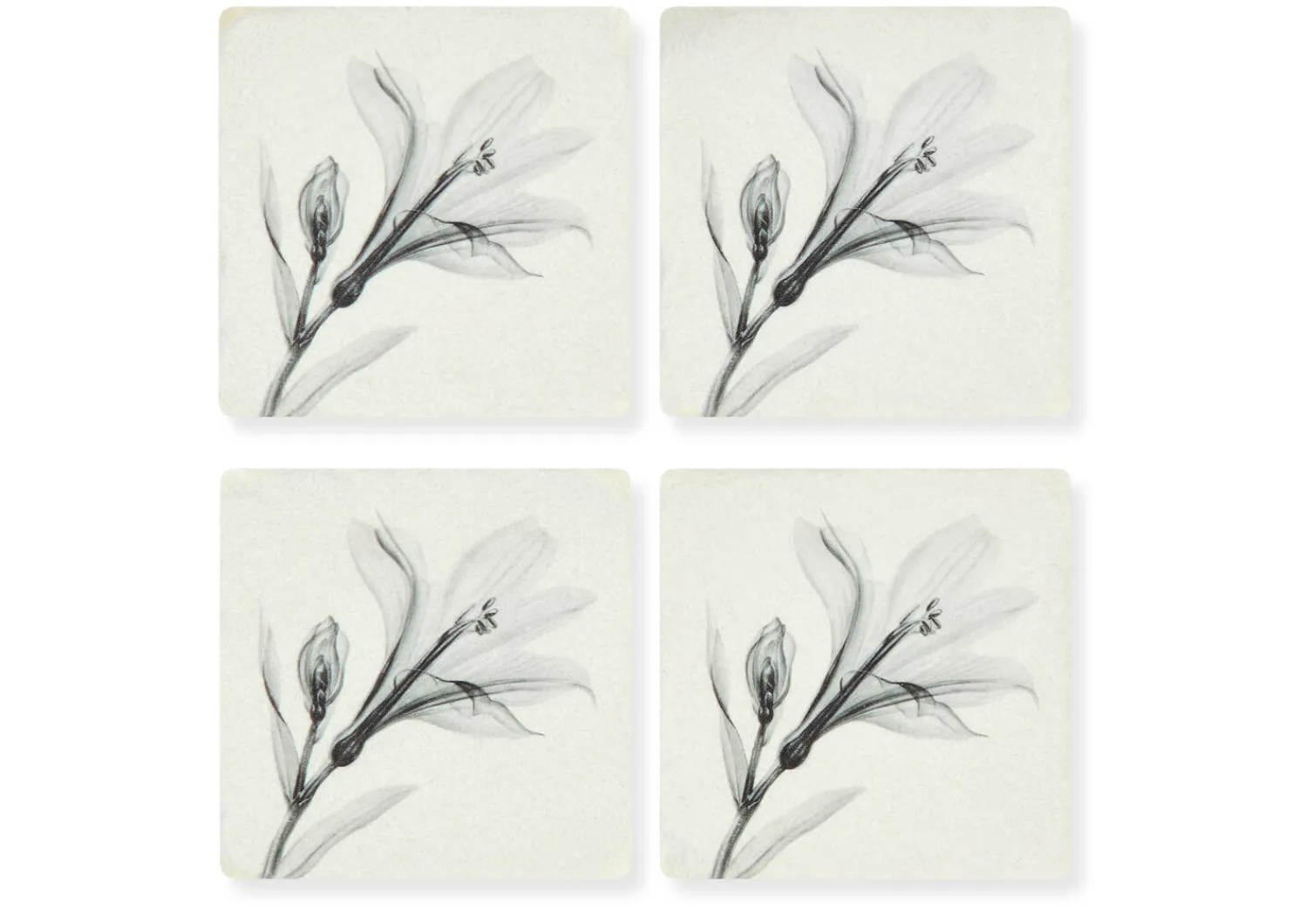 Urban Barn Floral Coaster Set- Table Linens & Coasters