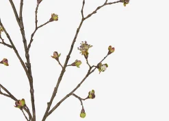 Urban Barn Gail Prunus Branch- Blooms & Branches